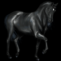 /album/a2/a1029583-1337171444388-full-png/