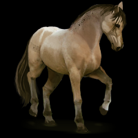 /album/a3/normal1-png/