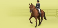 /album/a4/dressage-jpg/